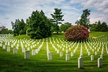 Washington DC Day Tour from New York City - Second Medium