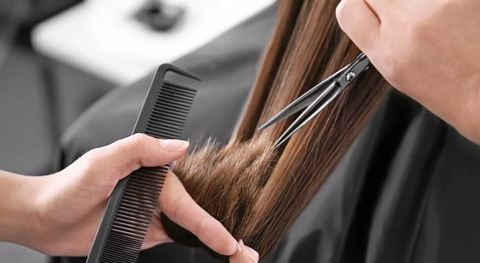 $35 For Haircut & Blow Dry (Reg $70)