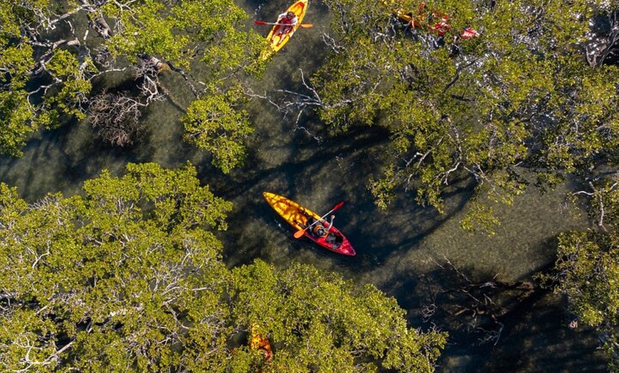 Image 3: Guided Kayak Tour