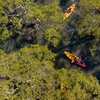 Image 3: Guided Kayak Tour