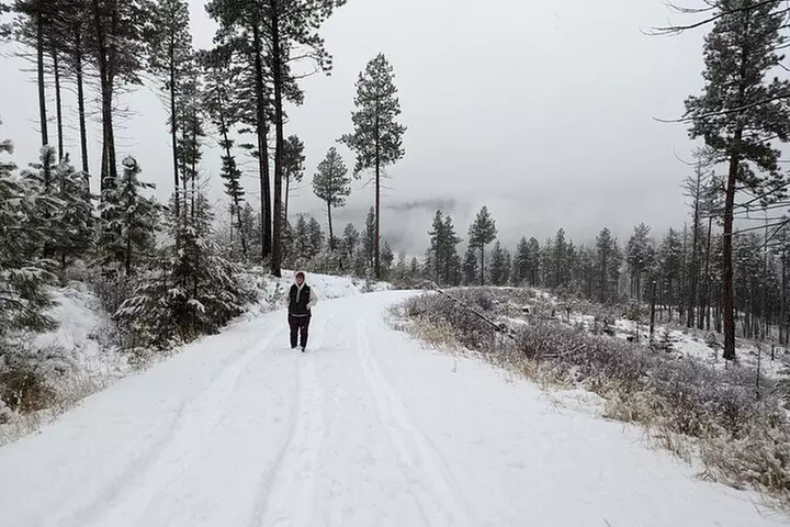 Leisurely Snowshoeing through the Bitterroot Mountains
