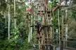 Treetop Challenge Adrenaline Pass - Image 6