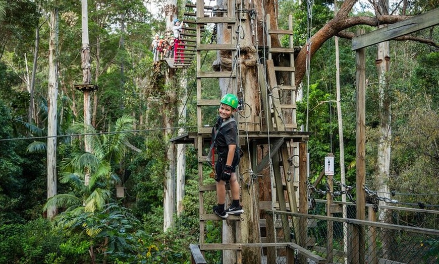Image 6: Treetop Challenge Adrenaline Pass