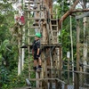 Image 6: Treetop Challenge Adrenaline Pass