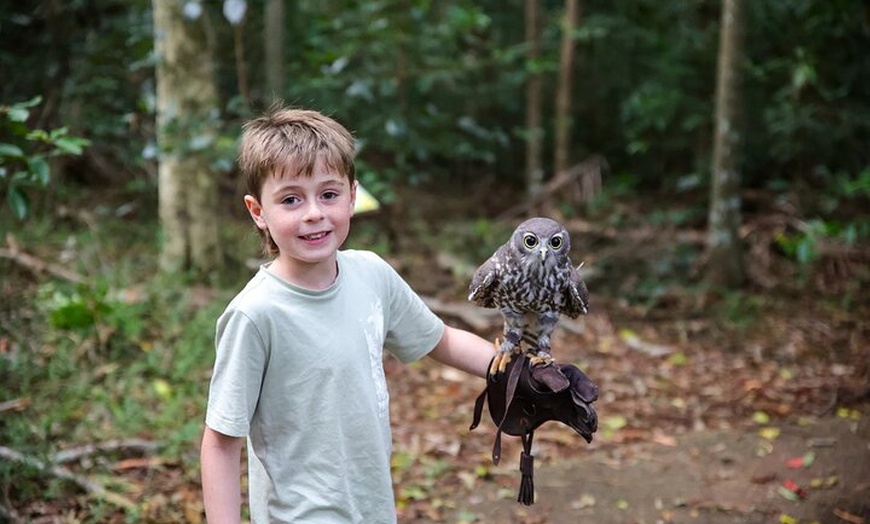 Image 6: Buderim Forest Flight Owl Encounter and Tour