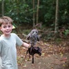 Image 6: Buderim Forest Flight Owl Encounter and Tour