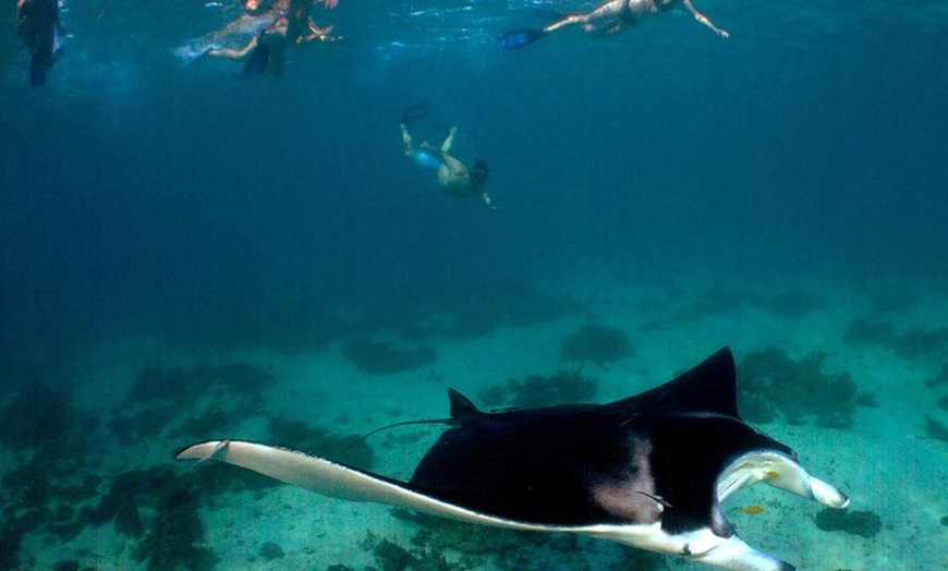 Image 6: 5 Night Ningaloo Reef Ningaloo Escape from Coral Bay