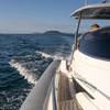 Image 9: Speedboat Express Luxury