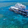 Image 1: Moore Reef Day Tour with Dive from Cairns