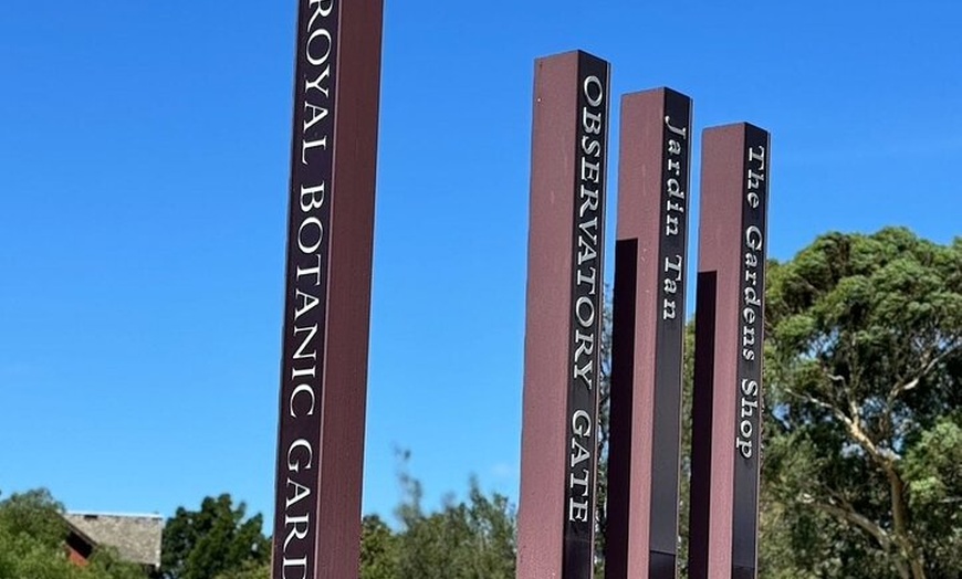 Image 17: Best of Melbourne City & Wildlife Sanctuary for Cruise Passengers