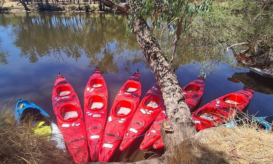 Image 2: 4 Hours Swan Valley Kayak, Wine & Dine Experience
