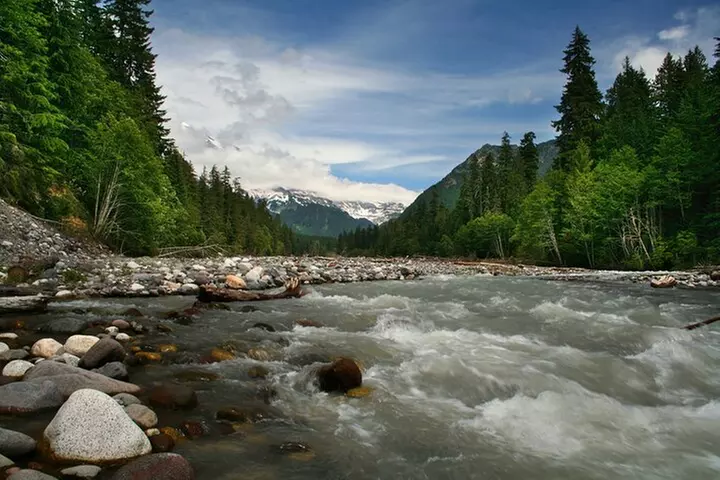 Ultimate Mount Rainier National Park Self-Guided Driving Tour