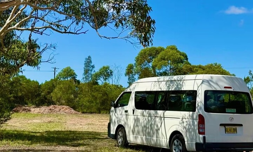 Image 23: Baby Animals, Boomerangs and BBQ Lunch
