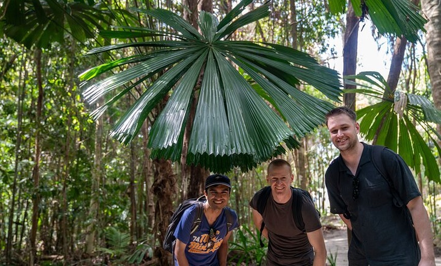 Image 12: Cassowary Coast Goondoi Culture Tour