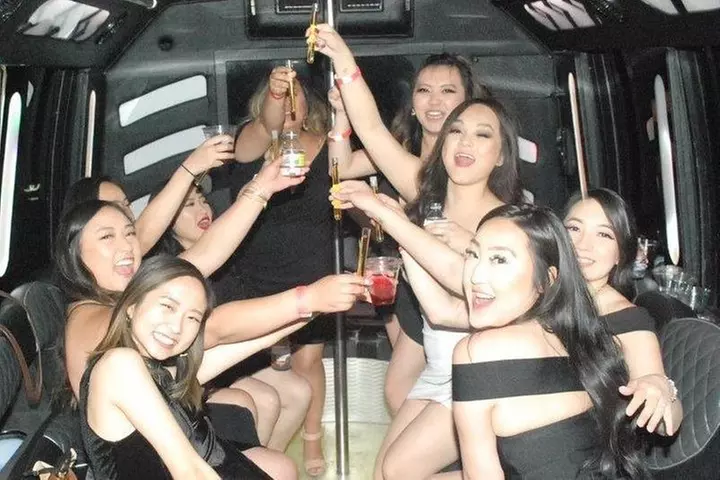 Las Vegas Airport Departure by Luxury Party Bus - Primary Image