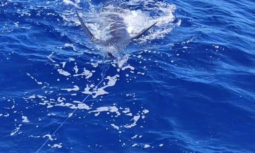 Image 13: Macaronesia Charter de Pesca en La Gomera (Islas Canarias)