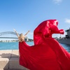 Image 6: Sydney Private Flying Dress Photoshoot