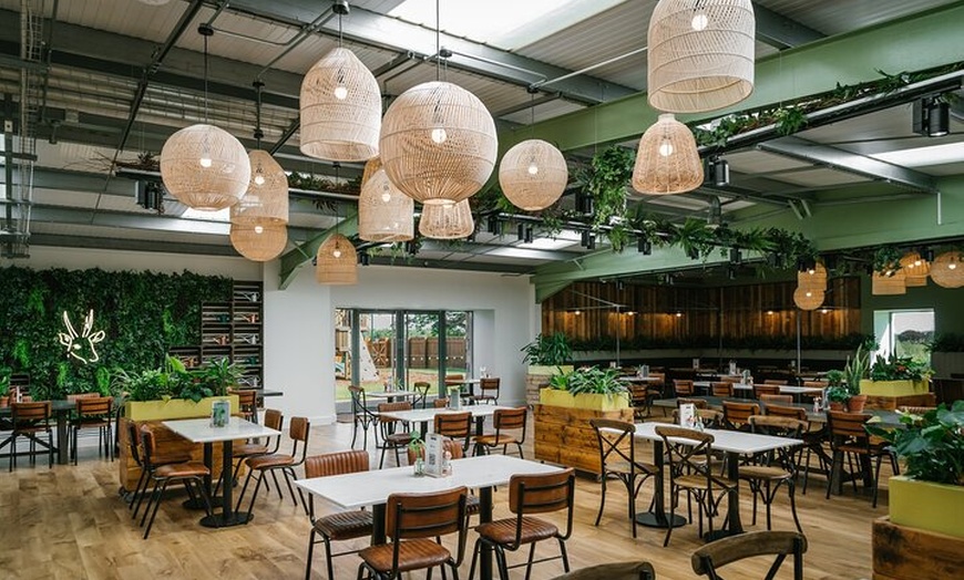 Image 6: Full-Day Trip: Sands and Castles of East Lothian from Edinburgh