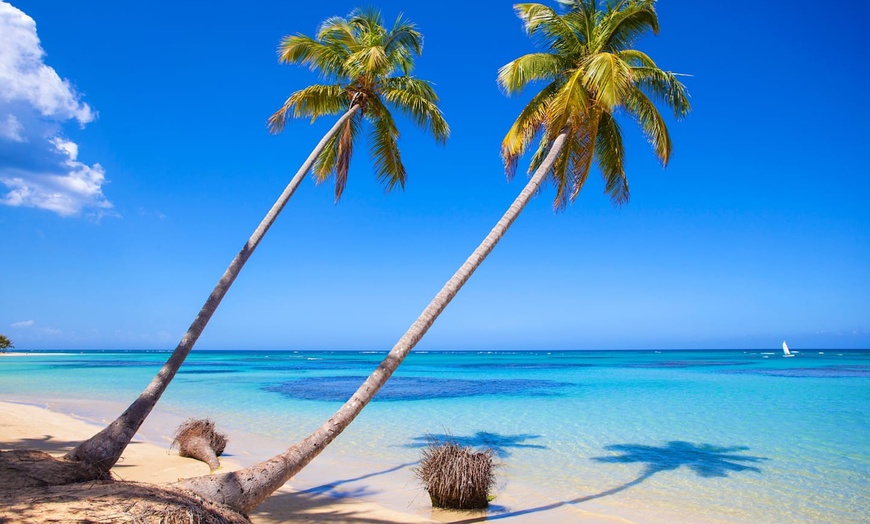 Image 13: ✈ RÉPUBLIQUE DOMINICAINE | St Domingue - Séjour Baleines à Bosse 4*...
