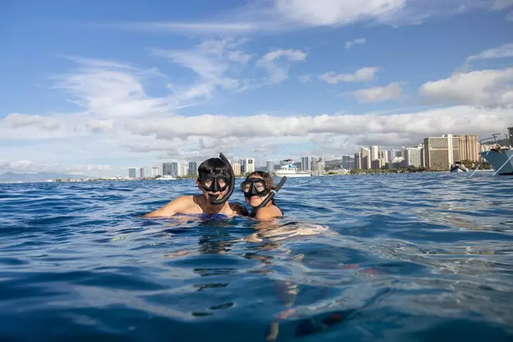 Turtle Canyon Snorkel in Waikiki, Oahu Semi Private