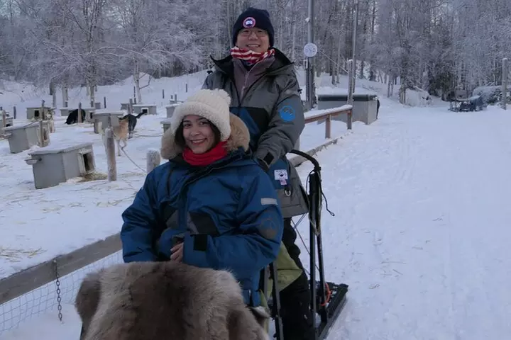 Dog Sledding and Mushing with 4X Iditarod Champ - Primary Image