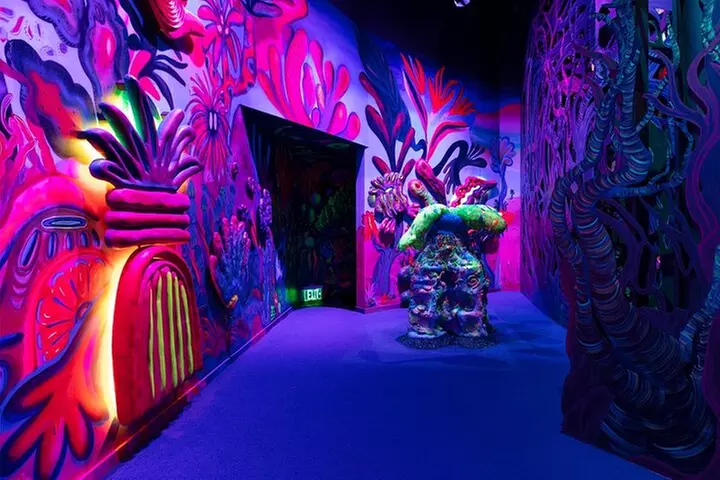 The Real Unreal at Meow Wolf Grapevine