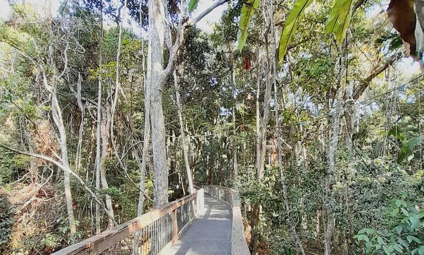 Image 3: 4-Day Private Coastal Escape from Sydney to Mid North Coast