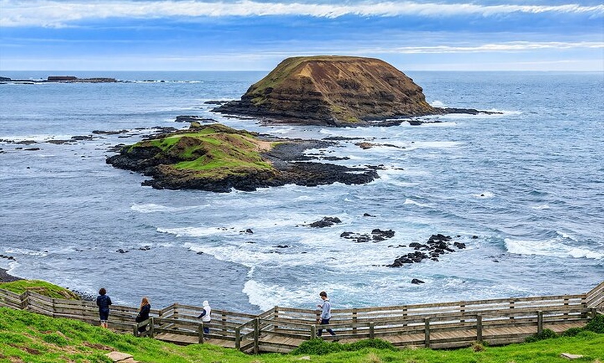 Image 6: Melbourne Puffing Billy Penguin Yarra Valley Wine choc Tour
