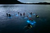 Bio Bay Swimming Experience with Boat Transport from La Parguera