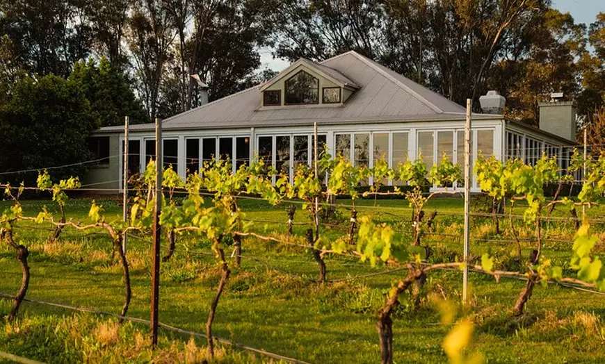 Image 7: Sydney Hunter Valley Private Wine Tour with Tastings and Lunch