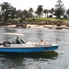 Image 5: Luxury Self Drive Boat Hire Sydney Harbour