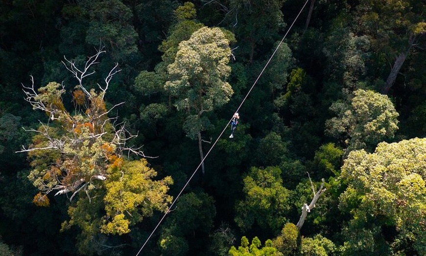 Image 13: Treetop Challenge Adrenaline Pass
