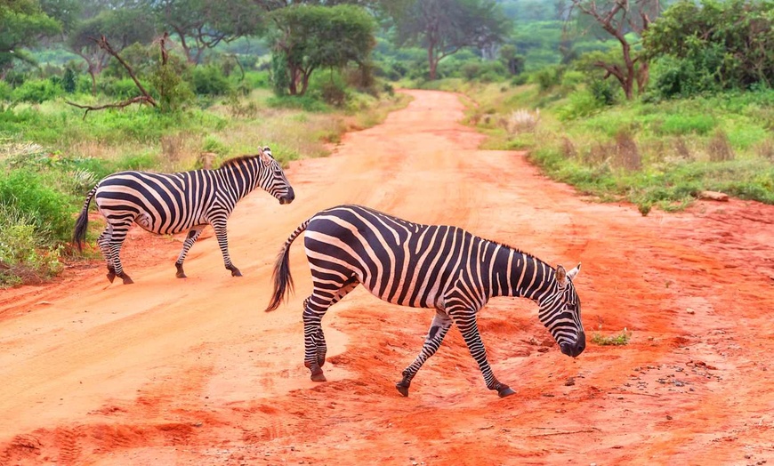 Image 13: ✈ KENYA | Mombasa - De la savane authentique aux rivages du Kenya 4...