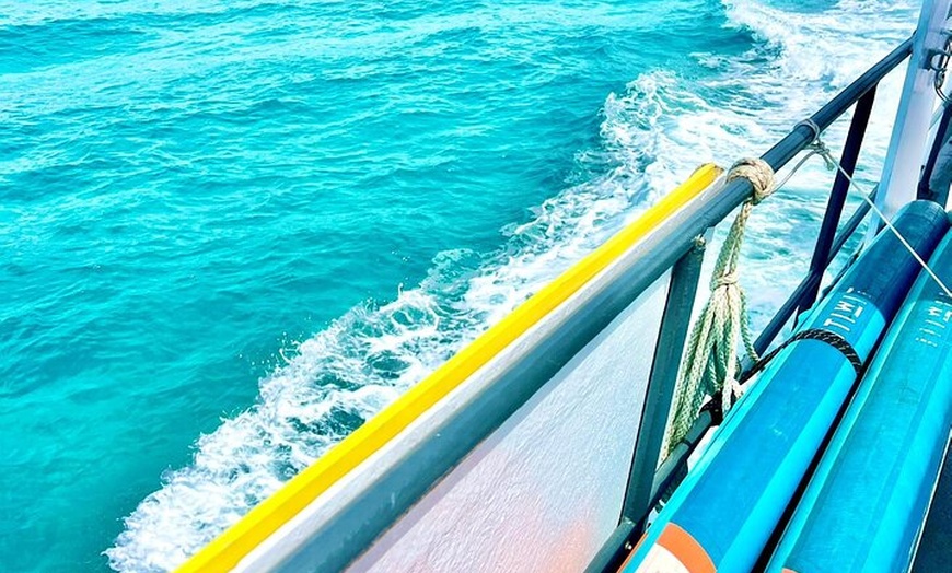 Image 26: Excursión de un día a Illetas en Formentera con Paella y Bebida