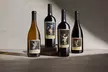 Line Up Tasting of 4 Featured Wine in St. Helena - Second Medium