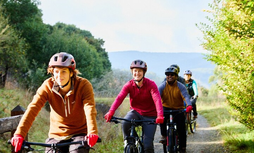 Image 4: Yarra Valley Redwood Forest Mountain Bike Adventure