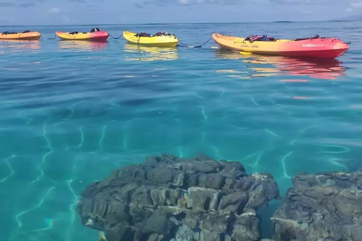 Kayak and Snorkel: Maui West Shore