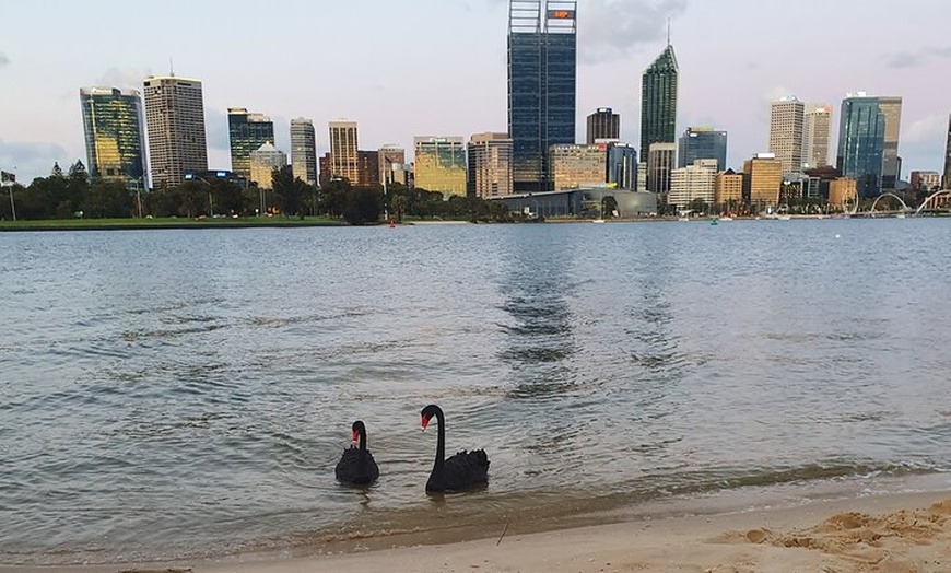 Image 7: Evening City Lights Kayak Tour in South Perth