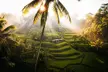 ✈ BALI | Ubud & Nusa Dua - Escapade Romantique à Bali 5*, 9 nuit - Circuit - Second Medium