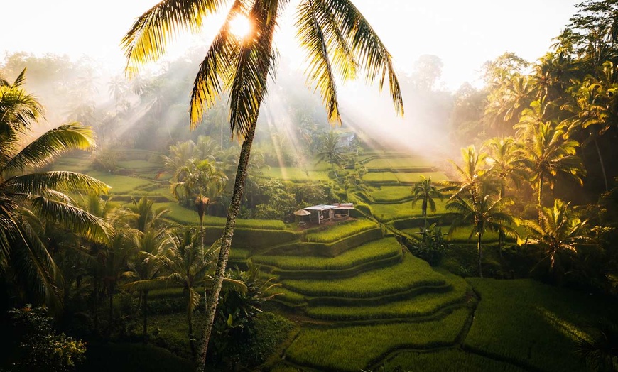 Image 2: ✈ BALI | Ubud & Nusa Dua - Escapade Romantique à Bali 5*, 9 nuit - ...