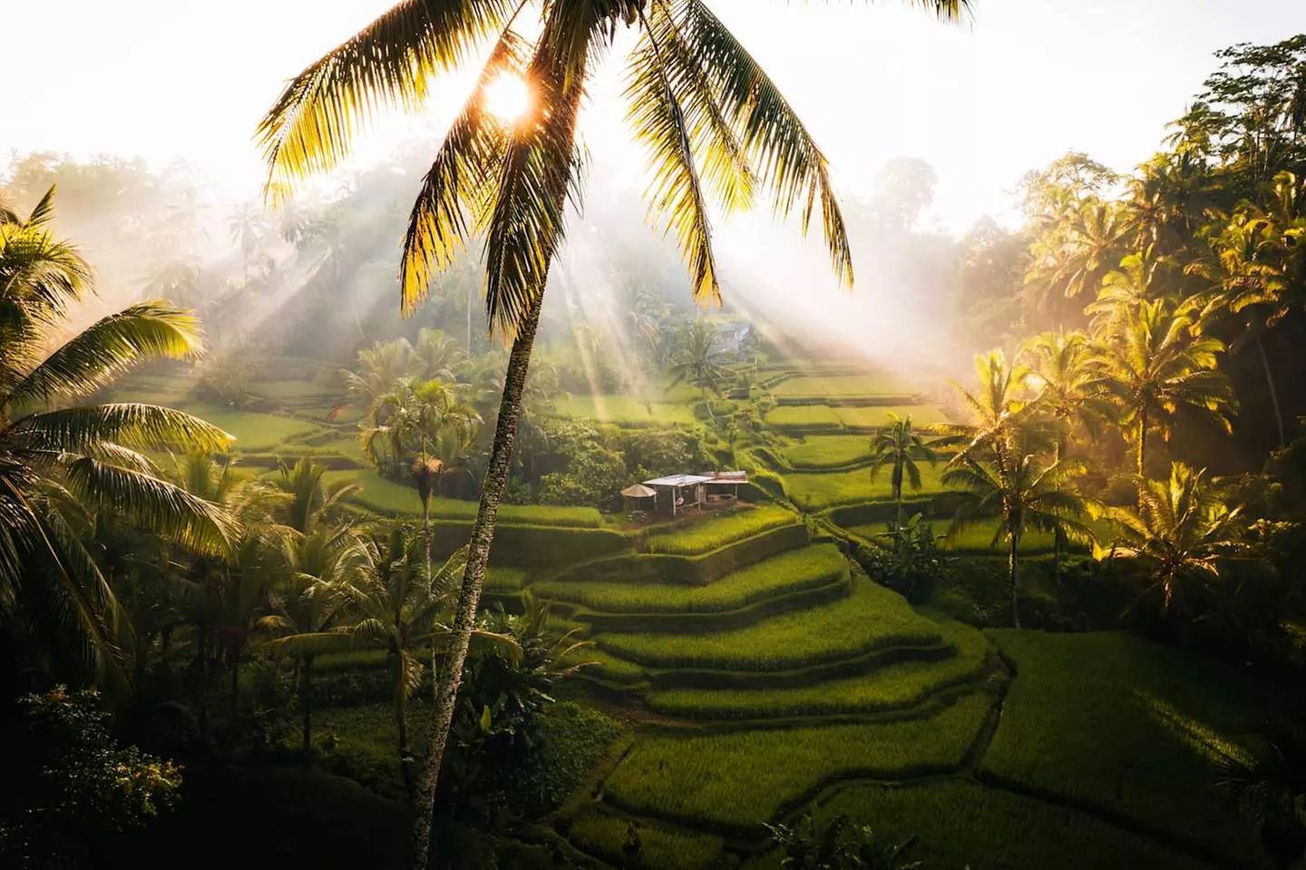 ✈ BALI | Ubud & Nusa Dua - Fuga Romantica a Bali 5*, 9 notti - Tour
