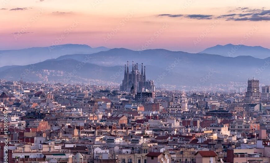 Image 4: Tour privado en grupo personalizable por Barcelona desde el hotel o...
