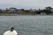 Open Boat Whale Watching - Second Medium