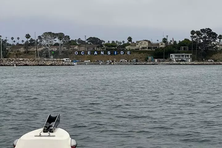 Open Boat Whale Watching