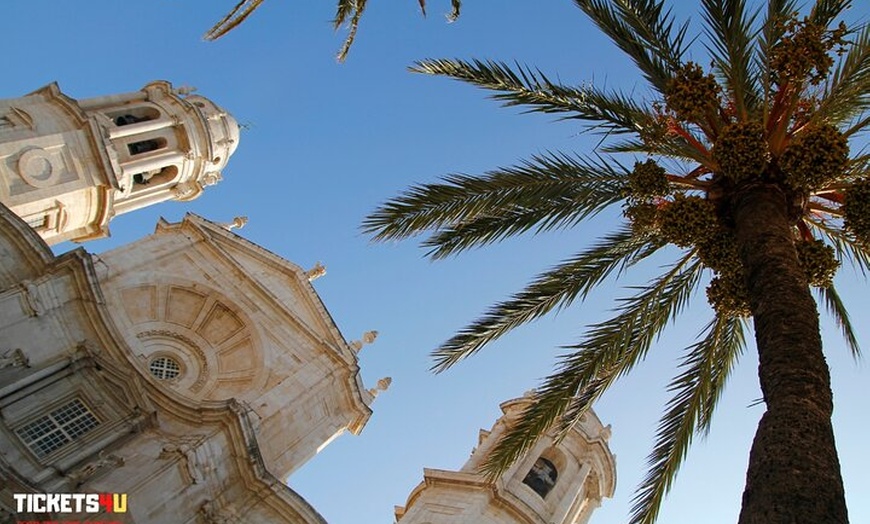 Image 13: Excursión de un Día a Jerez y Cadiz desde Sevilla