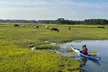Chincoteague Kayak Rentals around Assateague Island - Second Medium