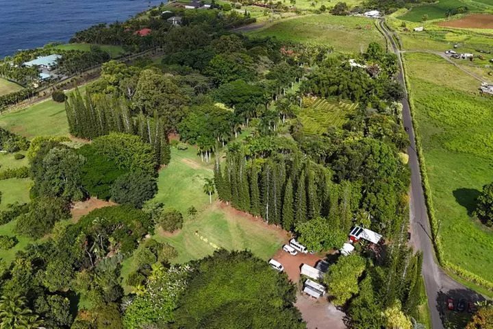 Big Island: 8-Zipline & Suspension Bridge Waterfall Adventure