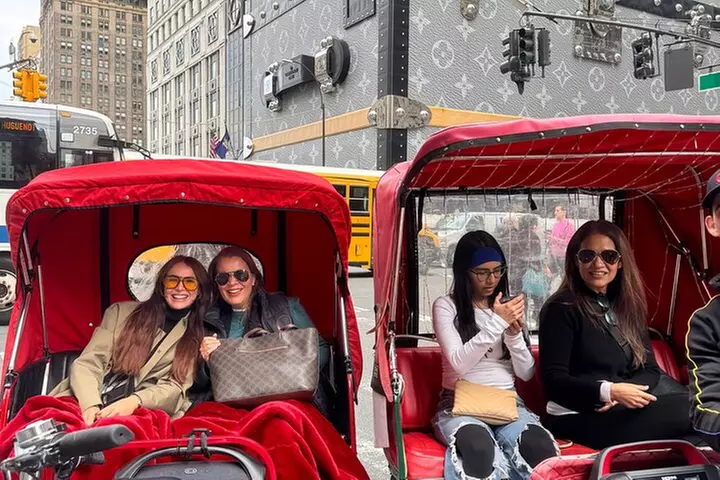 New York City Private Tour - Primary Image