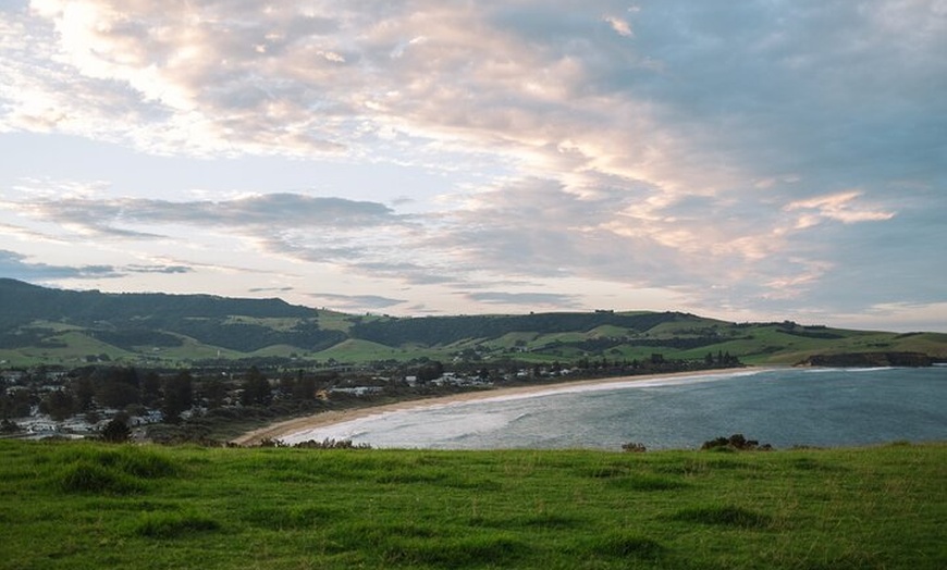 Image 10: Kiama Coastal Day Tour in Sea Cliff Bridge Blowhole and Wildlife