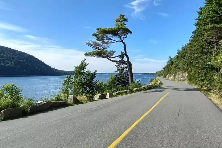 Acadia Woody's Utmost Coast 3 Hour Driving Tour